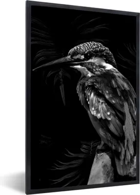 Produktbild von MuchoWow® Gerahmtes Poster Vogel vor schwarzem Hintergrund - schwarz und weiß 60x90 cm - Poster mit Schwarzem Bilderrahmen Wandposter Rahmen Foto Bilder - Kunst