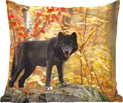 Produktbild von MuchoWow® Zierkissen Sofakissen Wohnzimmer Dekokissen 45x45 cm Wolf - Fels - Baum - Schlafpolster - Polster für das Sofa