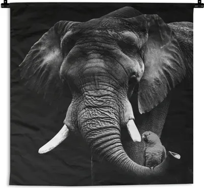 Produktbild von MuchoWow® Wandteppich Wandbehang Elefant - Papagei - Zähne - Schwarz - Weiß 150x150 cm Tapisserie Dekoration Wandtuch - Wohnaccessoires - Modernes