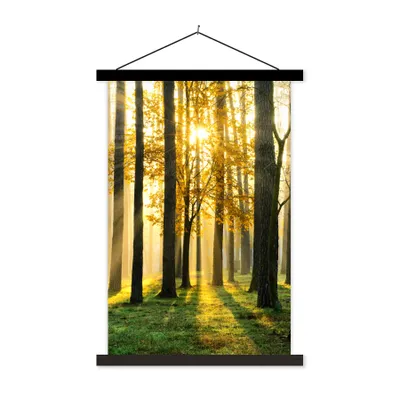 Produktbild von MuchoWow® Textilposter Wald - Sonne - Bäume - Gras - Landschaft - Natur 120x180 cm mit schwarzem Rahmen - Fotos