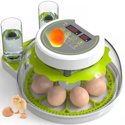 Produktbild von Brutautomat für 8 Eier, automatischer Ei-Wendung,Feuchtigkeitskontrolle,Eierlampe und automatischer Wasserzufuhr,geeignet für Hühner-und Wachtel-Eier