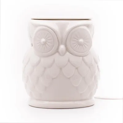 Produktbild von Candle Brothers Elektrische Duftlampe, Eulen-Design, Keramik, für Duftöl & Duftwachs, HxBxT: 22,2x14,4x14,4 cm