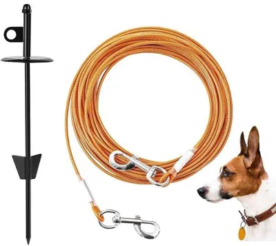 Image de Laisse pour chien Ibzoa® extra solide avec ancre au sol – rotation à 360°, câble en acier résistant à la mastication, ancre en acier robuste pour chiens de taille moyenne à grande