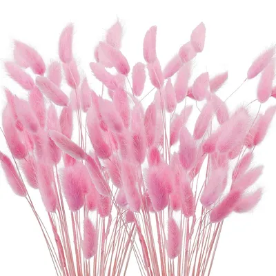 120 getrocknete Pampasgras-Halme, 40 cm, rosa