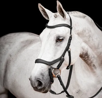 Produktbild von Horseware Ireland Trense Micklem 2 Competition Bridle Micklemtrense Black Cob