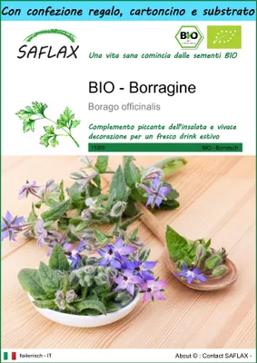 Immagine prodotto di SAFLAX Set regalo -- Borragine  - 40 semi - Borago