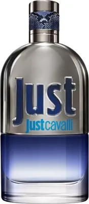 Productafbeelding van Roberto Cavalli Just Cavalli Him, eau de toilette, 90 ml, testversie