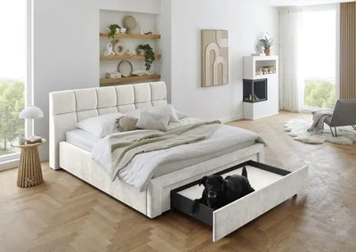 Produktbild von Meise Möbel Polsterbett Canyon 180x200 cm | Doppelbett | Bettgestell | Hundebett-Schubkasten inkl. Kissen | Strukturstoff Beige