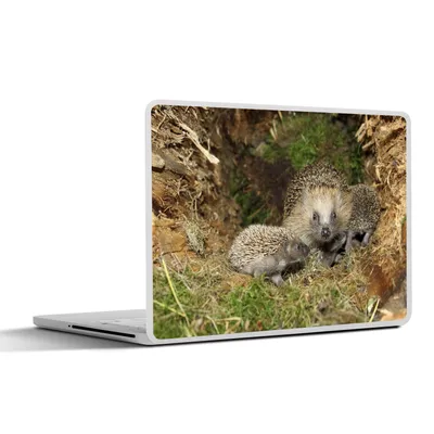 Produktbild von MuchoWow® Laptop Aufkleber Sticker Cover Baby-Igel in der Natur 40x30 cm - Laptop Dekoration - Selbstklebend