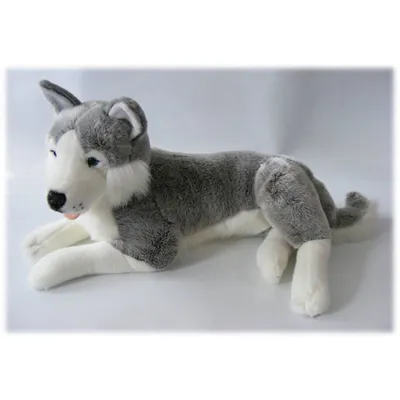 Obrázek produktu pro Plyšová hračka, husky, 60 cm