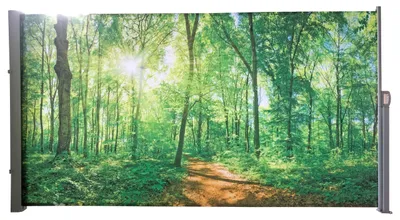 Produktbild von Seitenmarkise FABI Motiv Waldlichtung Mehrfarbig Polyester | Markise ausziehbar Sonnenschutz Windschutz Terrasse/Balkon