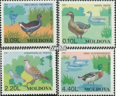 Produktbild von Briefmarken Moldawien 1996 Mi 205-208 (kompl.Ausg.) postfrisch Jagbare Vögel