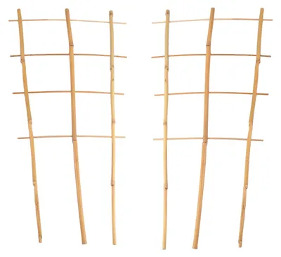 Produktbild von BURI 2X Bambusspalier 60cm Rankhilfe Blumenstütze Rankgitter Kletterhilfe Spalier