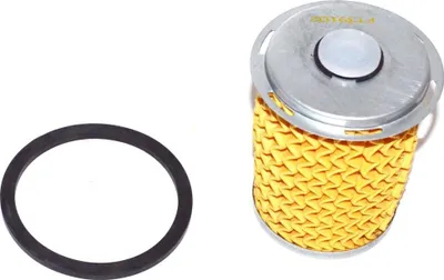 Produktbild von Kraftstofffilter FAST FT39102 für OPEL Vivaro A Kastenwagen (X83) Filtereinsatz