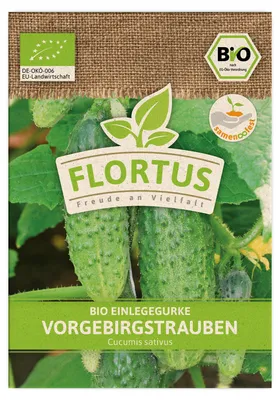 Produktbild von Einlegegurke Vorgebirgstrauben |  Gurkensamen von FLORTUS