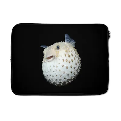 Produktbild von MuchoWow® Laptop Hülle 13 Zoll Fische - Meerestiere - Porträt Laptoptasche - Laptophülle - Sleeve - Rundumschutz
