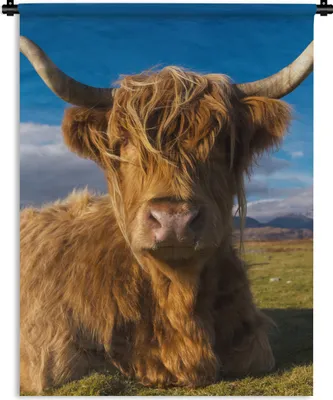 Produktbild von MuchoWow® Wandteppich Wandbehang Schottische Highlander - Tiere - Gras 150x200 cm Tapisserie Dekoration Wandtuch - Wandaufhängung - Moderner
