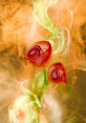 Produktbild von Wallario selbstklebendes Poster - Abstrakte Rosen, Größe: 70 x 100 cm