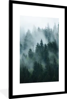 Produktbild von MuchoWow® Gerahmtes Poster Nebel - Bäume - Wald 60x90 cm - Poster mit Schwarzem Bilderrahmen Wandposter Rahmen Foto Bilder - Dekoration - Wandposter Wohnzimmer - Hochwertig