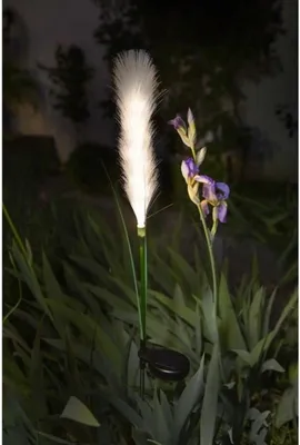 Produktbild von Lichtdekoration – GALIX – G4515 – Solarenergie: Staubwedel