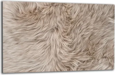 Produktbild von Herdabdeckplatte Glaskeramikkochfeld-Abdeckung Spritzschutz Glas 80x52 Hund