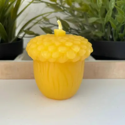 Produktbild von Bienenwachskerze Eichel Kerze 7 cm – genoppte Kappe und geriffelter Korpus