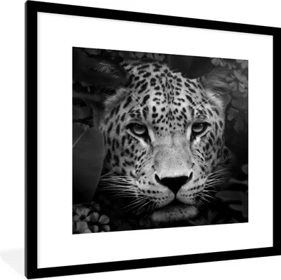 Produktbild von MuchoWow® Gerahmtes Poster Dschungel - Panther - Wilde Tiere - Schwarz - Weiß 40x40 cm - Poster mit Schwarzem Bilderrahmen Wandposter Rahmen Foto Bilder - Poster - Plakat im Rahmen