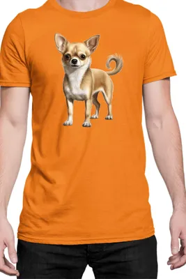 Produktbild von Herren T-Shirt Dogs Breeds Chihuahua Dog Breed 005, Man 2XL / Orange