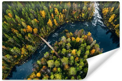 Produktbild von Muralo XXL Vlies FOTOTAPETE WALD Fluss Aussicht Vogelperspektive 3D Effekt (B) 368 cm x (H) 280 cm Tapete Wandtapete WOHNZIMMER SCHLAFZIMMER 4610