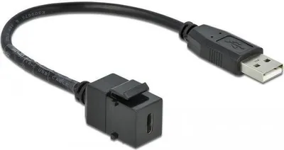 Image de Delock Keystone Modul USB 2.0 C Bu > USB 2.0 A stec, kabel