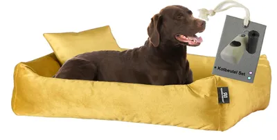Produktbild von Rohrschneider Hundebett Kuschelsofa Hund Weich + Hundekotbeutelset, Farbe:senf, Größe:L