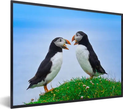 Produktbild von MuchoWow® MuchoWow® Gerahmtes Poster Tiere - Vögel - Papageientaucher 80x60 cm - Poster mit zchwarzem Bilderrahmen - Schwarzem - Mit Gestell