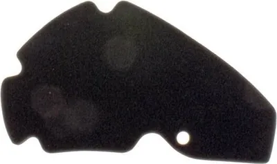 Immagine prodotto di Inserto filtro aria per Aprilia Scarabeo Light 125 200 2007-2009