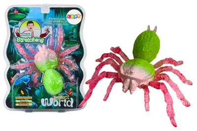 Obrázok produktu pre Rozťahovacia figúrka pavúka, zelená