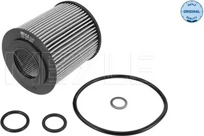 Zdjęcie produktu dla Filtr Oleju Bmw M40/42/43 E46