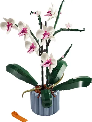 Immagine prodotto di LEGO® Botanicals 10311, Orchidea
