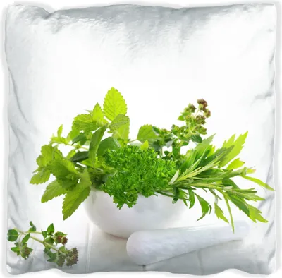 Produktbild von Wallario Premium Kissen, weiche Oberfläche, mit Motiv Welt der Kräuter - verschiedene Kräuter in einem weißen Mörser, Größe: 40 x 40 cm, mit weißer Rückseite