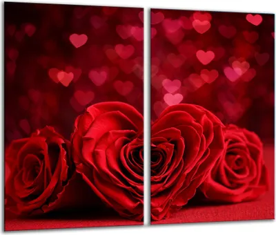 Image de Plaques de recouvrement pour cuisinière 2 pièces 30x52 Couverture pour plaque vitrocéramique verre cœur