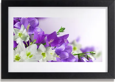 Produktbild von Bild 30x20 MDF-Rahmen Wandkunst Blumen Pflanzen