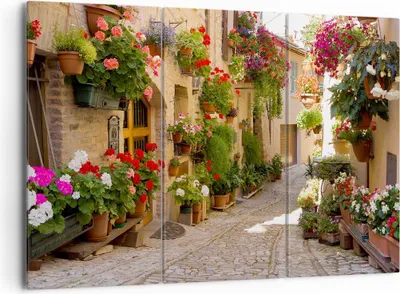Produktbild von Bild auf Leinwand - Leinwandbild - Blume Straße Haus - 165x110cm - Wand Bild - Wanddeko - Leinwanddruck - Bilder - Kunstdruck - Wanddekoration - Leinwand bilder - Wandkunst - CE165x110-3586