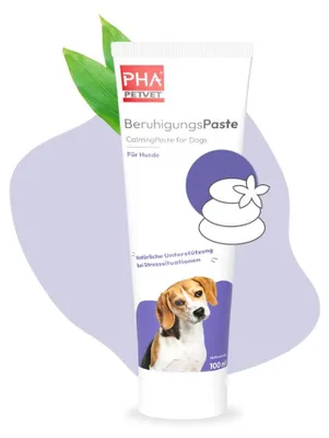 Produktbild von PHA BeruhigungsPaste für Hunde - 100 ml 100 ml