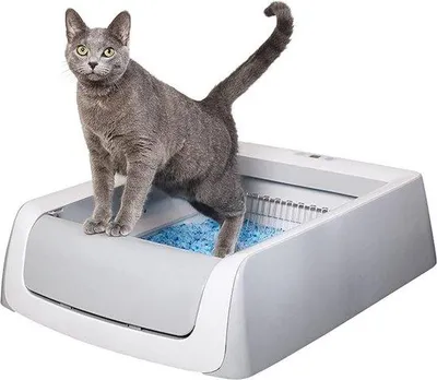 Produktbild von Automatisches Kätzentoilettsystem
