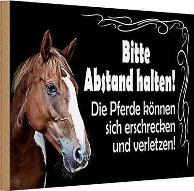 Produktbild von Holzschild Spruch 30x20cm bitte Abstand halten Pferde