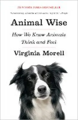 Image de Animal Wise