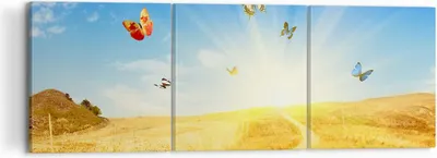 Produktbild von Bild auf Leinwand - Leinwandbild - Schmetterlinge Wiese Gras - 120x40cm - Wand Bild - Wanddeko - Leinwanddruck - Bilder - Kunstdruck - Wanddekoration - Leinwand bilder - Wandkunst - CA120x40-0517