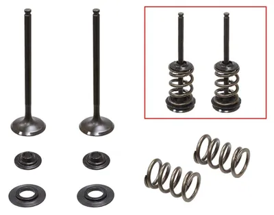 Image de Kit de valve d'échappement pour moto, compatible avec les modèles KTM/Husaberg EXCF/FE 250, référence MX-09551E