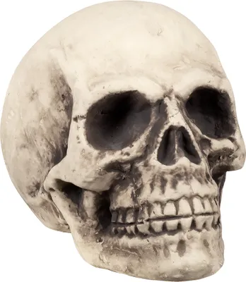 Produktbild von Riesiger Schädel Supermind - Halloween Dekoration