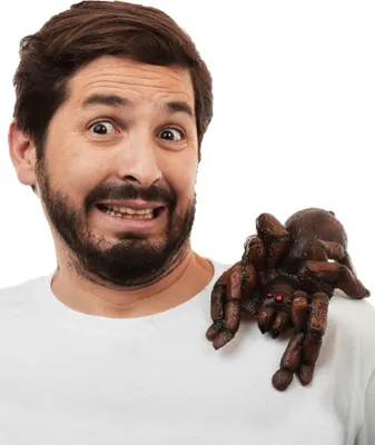 Obrázek produktu pro Pavouk na rameni zábavný doplněk kostýmu pro dospělé