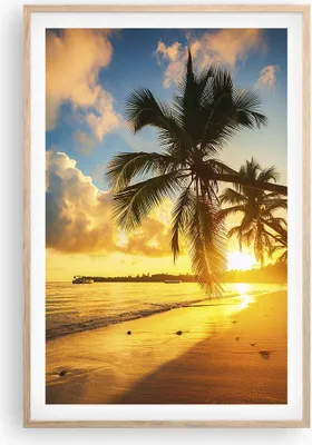 Produktbild von Gerahmtes Poster - Rahmen in heller Eiche - Meer Strand Palme - 61x91,5 cm - Wand Bild - Wanddeko - Wandbilder - Wandposter - Bilderrahmen - Bilder - Kunstdruck - Wandbild - P2NPA61x91-3922