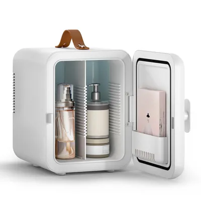 Produktbild von Puluomis Mini Kühlschrank 4L mit Kühl- und Wärmefunktion, 5°C bis 60°C, 220-240V/12V, ≤38dB leise Kühlbox Warmbox tragbar für Kosmetik, Getränke, Auto